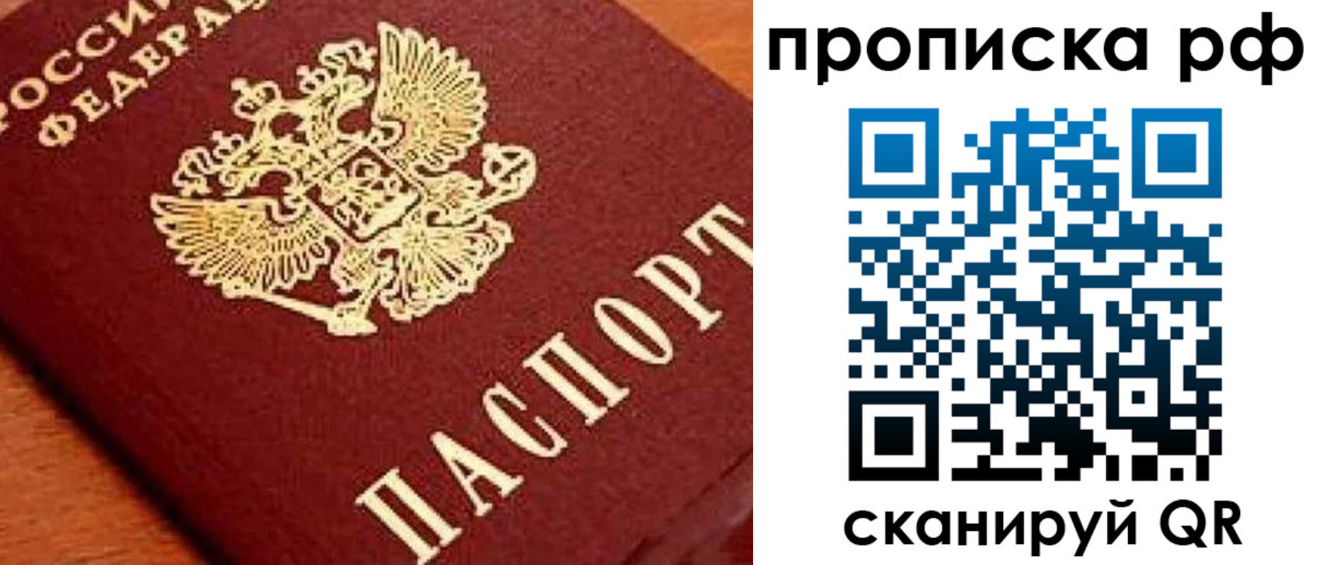 прописка законно в Александрове